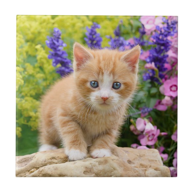 Cute Fluffy Ginger Cat Kitten in Flowers Pet Photo Tile (Front)