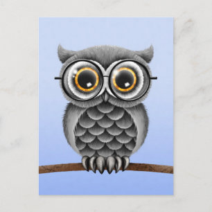 Cute Fluffy Grey Owl with Glasses, Light Blue Postcard