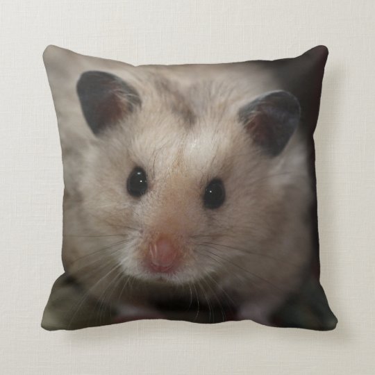 Cute Fluffy Hamster Cushion Zazzle Co Uk