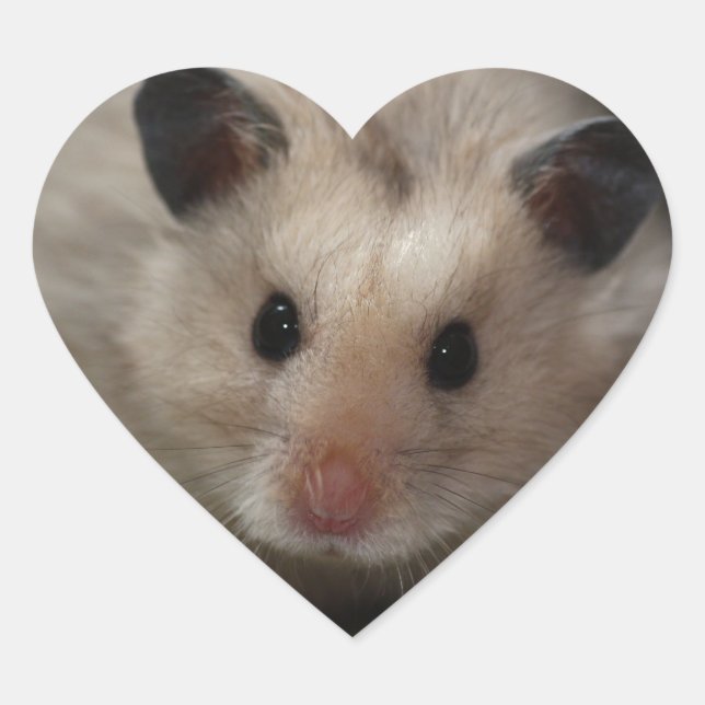 Cute Fluffy Hamster Heart Sticker (Front)