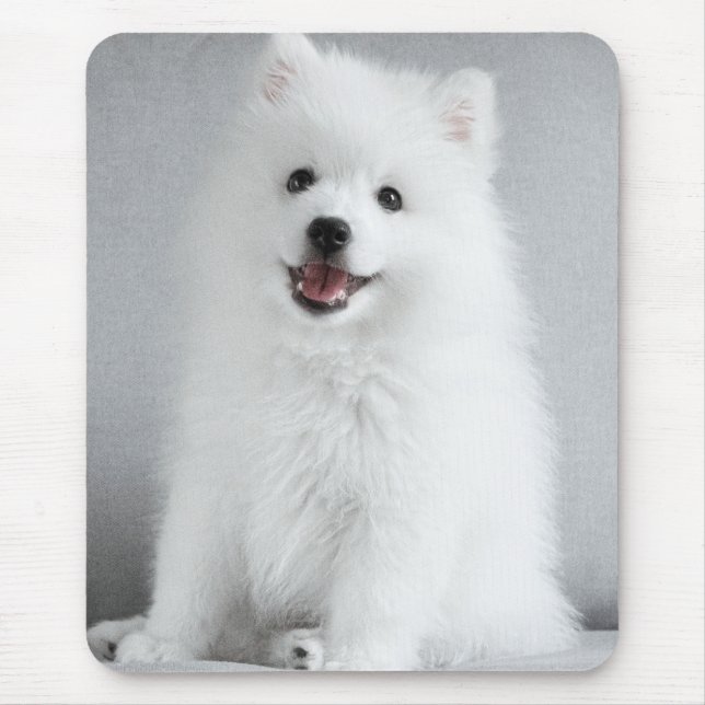 Cute Fluffy Japanese Spitz Puppy Mouse Mat (Front)