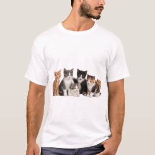 Cute Fluffy Kittens Group Transparent PNG Sticker T-Shirt