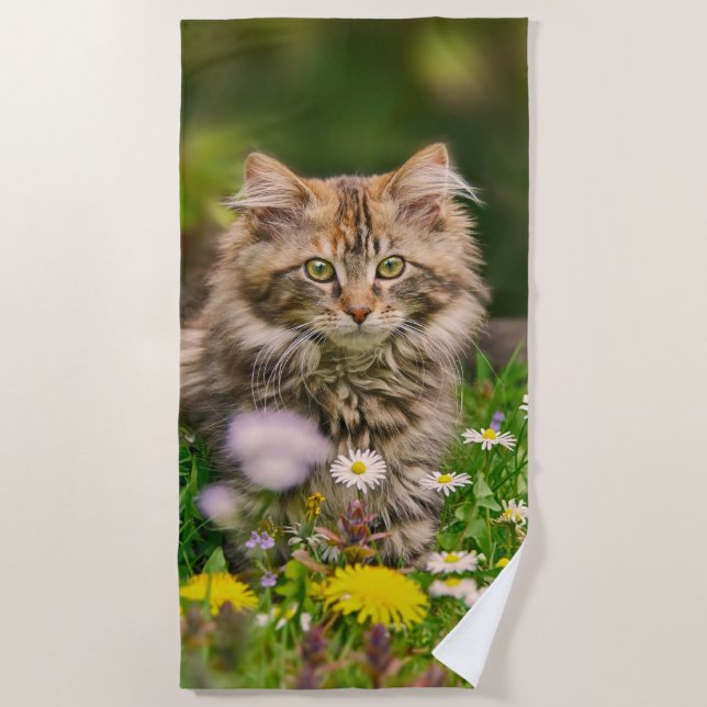 Cute Fluffy Maine Coon Kitten Cat in Flowers Photo Beach Towel (Front)