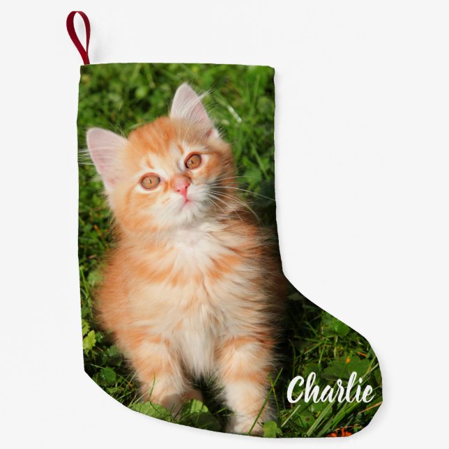 Cute Fluffy Orange Tabby Cat Kitten Small Christmas Stocking (Front)