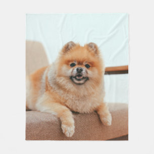 Cute Fluffy Pomeranian Puppy Portrait – Adorable D Fleece Blanket