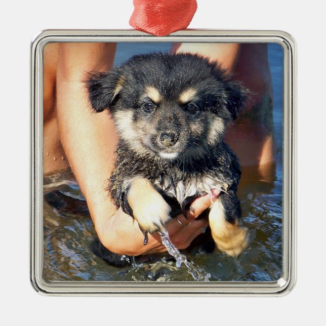 Cute Fluffy Puppy Dog Photograph Metal Tree Decoration (Front)