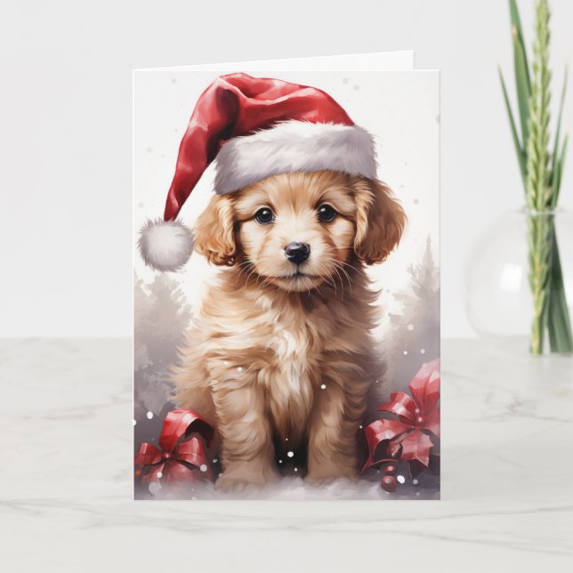 Cute Fluffy Puppy in a Santa Hat Christmas Card (Front)