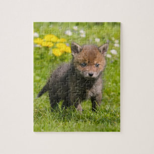 Cute Fluffy Red Fox Cub Wild Baby Animal Game 8x10 Jigsaw Puzzle