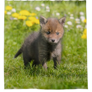 Cute Fluffy Red Fox Cub Wild Baby Animal, Tub Shower Curtain