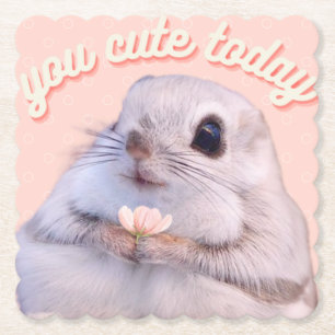 Cute fluffy squirrel and flower on pink background paper coaster