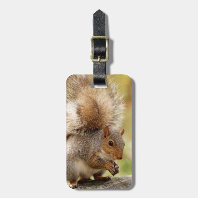 Cute Fluffy Squirrel Luggage Tag (Front Vertical)