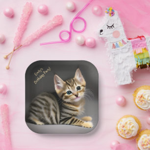 Cute fluffy tabby cat baby   paper plate