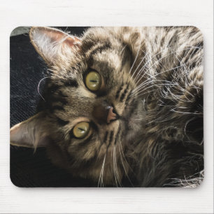 Cute Fluffy Tabby Cat  Mouse Mat