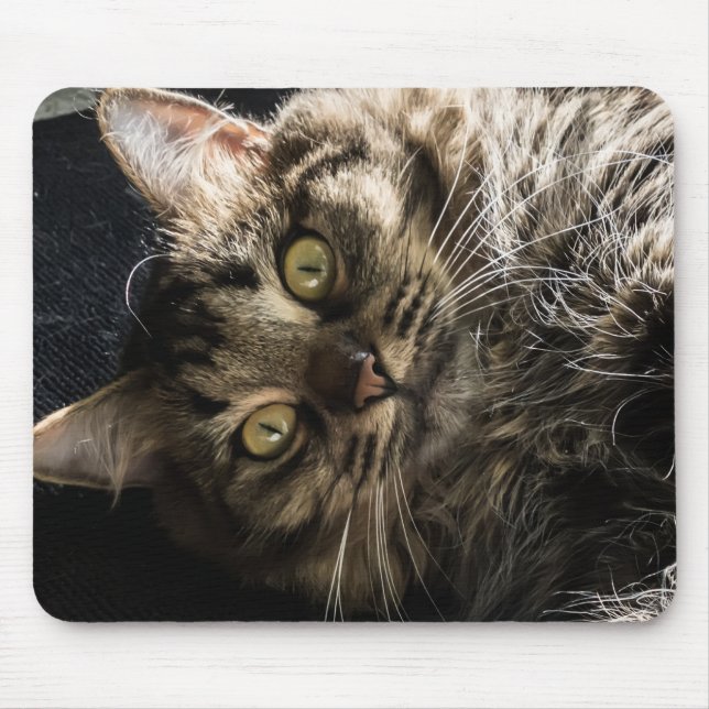 Cute Fluffy Tabby Cat  Mouse Mat (Front)