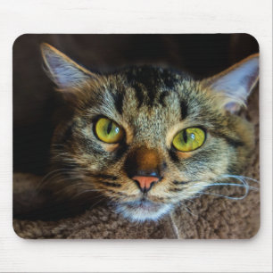 Cute Fluffy Tabby Cat Mouse Mat