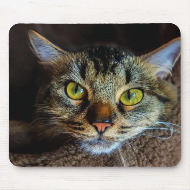 Cute Fluffy Tabby Cat  Mouse Mat (Front)