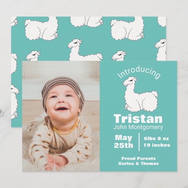 Cute Fluffy White Llama Birth Announcement (Front/Back)