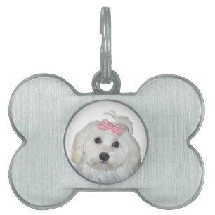 Cute Fluffy White Maltese Lili Pet ID Tag
