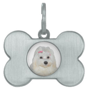 Cute Fluffy White Maltese Lili Pet ID Tag