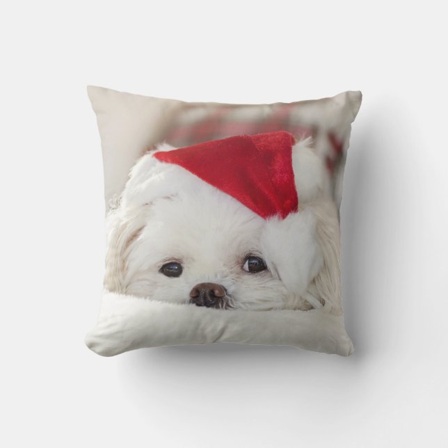 Cute Fluffy White Maltese Puppy Dog in a Santa Hat Cushion (Front)