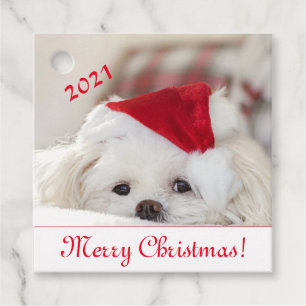 Cute Fluffy White Maltese Puppy Dog in a Santa Hat Favour Tags