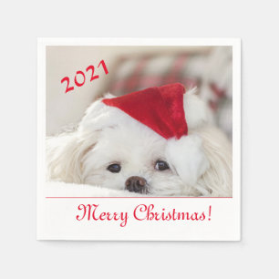 Cute Fluffy White Maltese Puppy Dog in a Santa Hat Napkin
