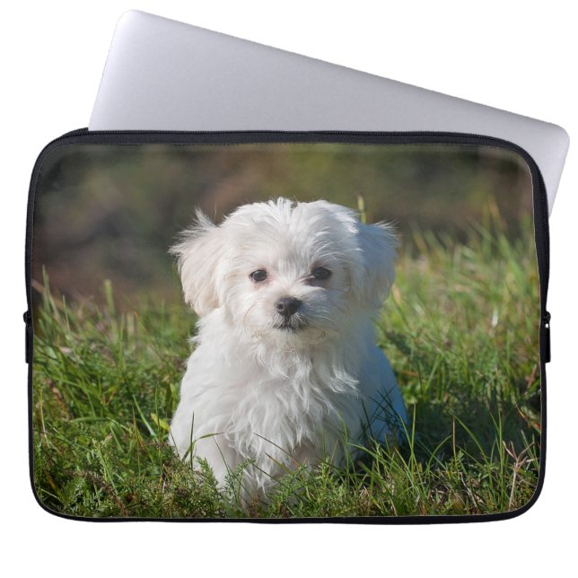 Cute Fluffy White Maltese Puppy Dog Laptop Sleeve (Front)