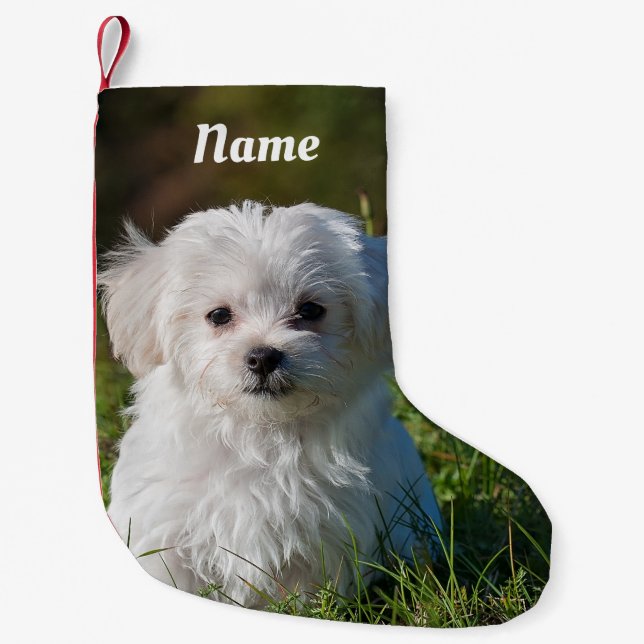 Cute Fluffy White Maltese Puppy Dog Small Christmas Stocking (Front)