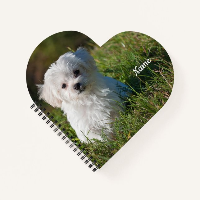 Cute Fluffy White Maltese Puppy  Notebook (Front)