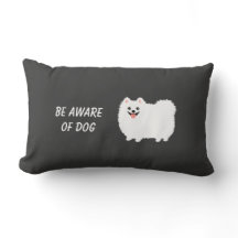 Cute Fluffy White Pomeranian - Be Aware of Dog