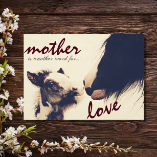 Cute Foal and Mare Horse Happy Mother's Day Card