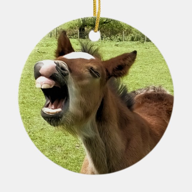 CUTE FOAL CERAMIC TREE DECORATION (Front)