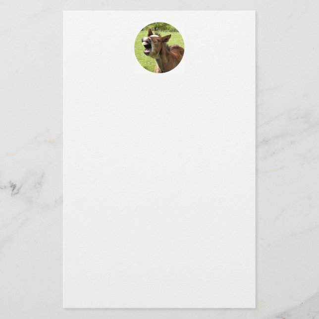 CUTE FOAL STATIONERY (Front)