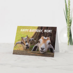 Cute "For Mum" Baby Goat Birthday Card