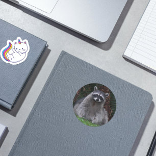 Cute Forest Raccoon Wildlife Photo Classic Round Sticker