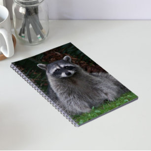 Cute Forest Racoon Wildlife Photo Notebook