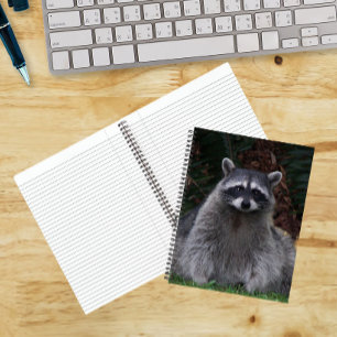 Cute Forest Racoon Wildlife Photo Notebook