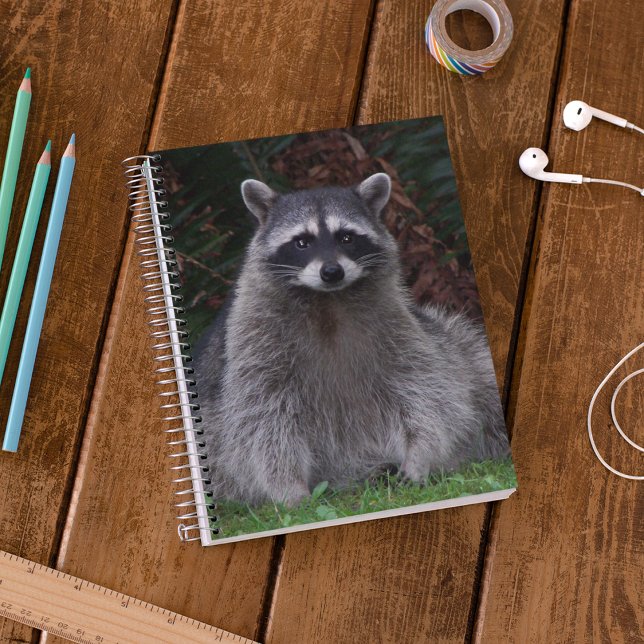 Cute Forest Racoon Wildlife Photo Notebook (In Situ)