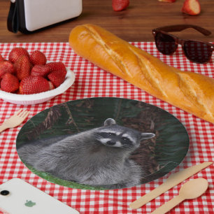 Cute Forest Racoon Wildlife Photo Paper Plate