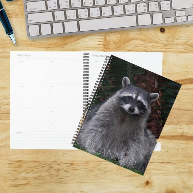 Cute Forest Racoon Wildlife Photo Planner (In Situ)