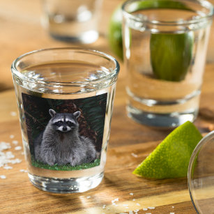 Cute Forest Racoon Wildlife Photo Shot Glass