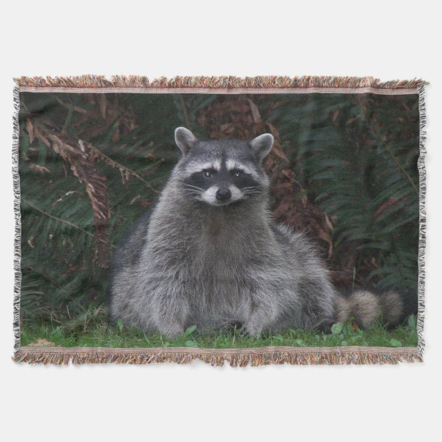Cute Forest Racoon Wildlife Photo Throw Blanket (Front)