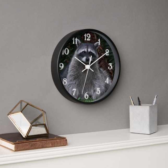 Cute Forest Racoon Wildlife Photo Wall Clock (Office)