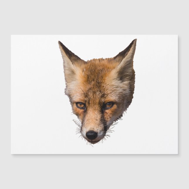 Cute fox face cut out  card (Front)