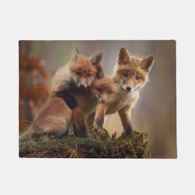 Cute Fox Family Doormat (Front)