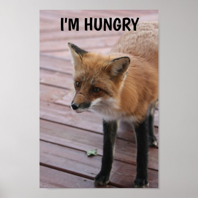 Cute Fox Photo Caption Poster (Front)