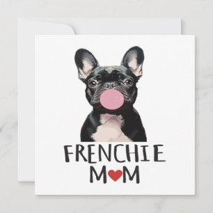 Cute French bulldog