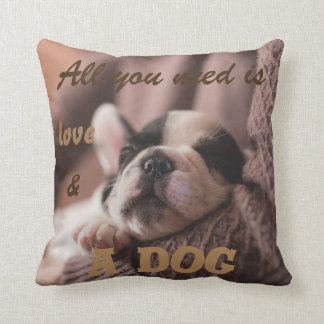 Cute french bulldog|| all you need is... cushion