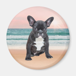 Cute French Bulldog Beach Sun Water Magnet