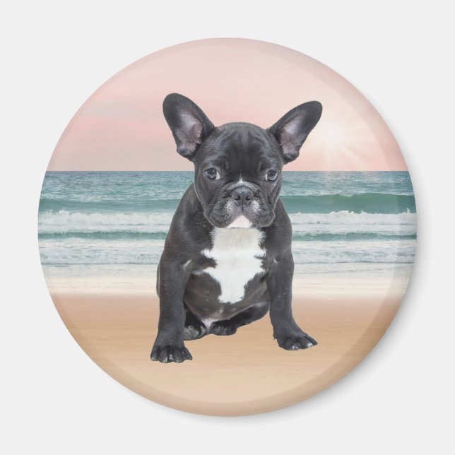 Cute French Bulldog Beach Sun Water Magnet (Front)